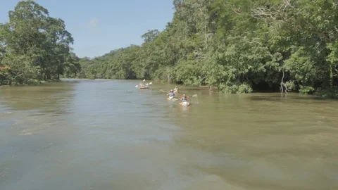 Belize Kayak 01 Stock Footage 88838490