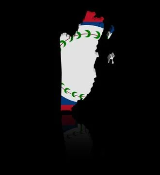 Belize map flag with reflection illustration Stock Illustration