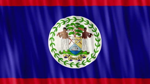 Belize National Flag. Seamless loop animation closeup waving. Stock Footage 220556651