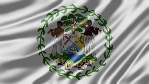 Belize national flag waving with realistic silk fabric texture animation Stock Footage 343562832