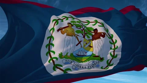Belize Realistic Waving Flag Animation Loop Video stock 310556959