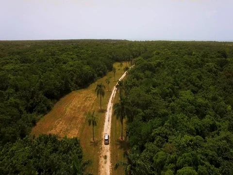 Belize road Video stock 76717991