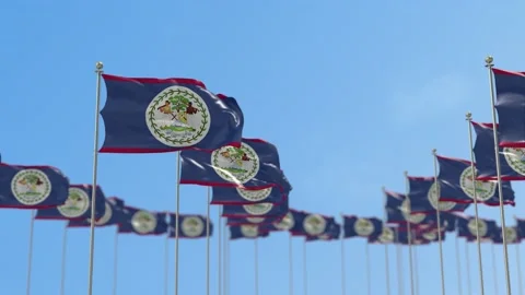 Belize Row Of Flags 3D Animation Vídeo Stock 148628109