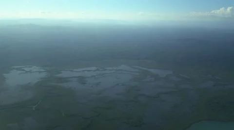 Belize Swamp Aerial Vidéo 66426988