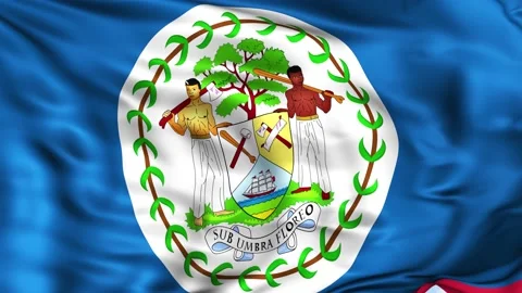 Belize Waving Flag Background 스톡 동영상 204135798