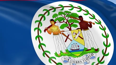 Belize Waving Flag Background Loop Stock Footage 317843859