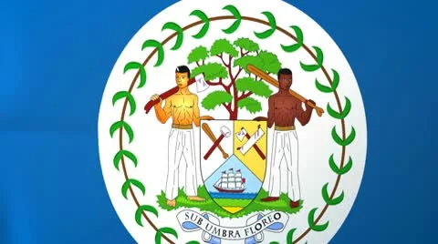 Belize Waving Flag Stock Footage 10761558