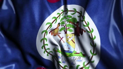 Belize WAVING FLAG Stock Footage 321015811