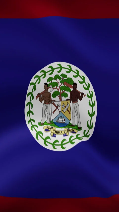 Belize Waving Flag in Vertical Orientation – Realistic Loop Animation Stock Footage 294949556