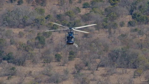 Bell 206 L4 helicopter flies towards camera mover the South African bush Stock Footage 135463255