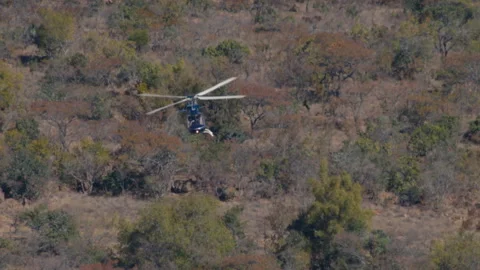 Bell 206 L4 helicopter flies towards camera mover the South African bush Stock Footage 135513035