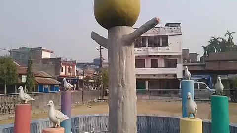 Bell chowk beltar Stock Footage 305364470