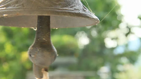 Bell Video stock 25486483