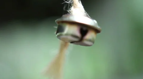 Bell hanging on a ribbon in the wind Stock-Footage 67806064