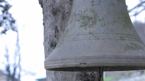 A bell hanging from  a tree 6 Video stock 321659625