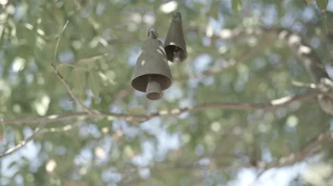 Bell hanging on tree Video stock 41645111