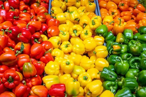 Bell pepper in different colors Stock Photos