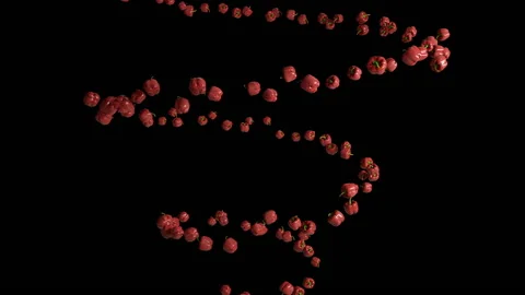 Bell pepper flying in helix shape, seamless loop, against black Stock Footage 156630361