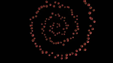 Bell pepper flying in helix shape, upper view, seamless loop, against black Stock Footage 211291002