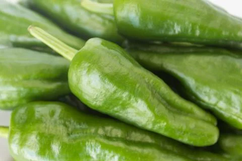 Bell pepper, green small Stock Photos
