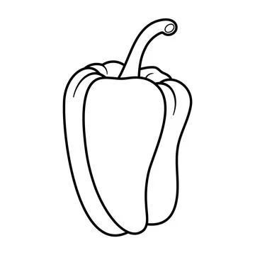 Bell Pepper Outline Vector Illustration Stock Illustration