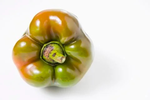 Bell pepper Foto stock