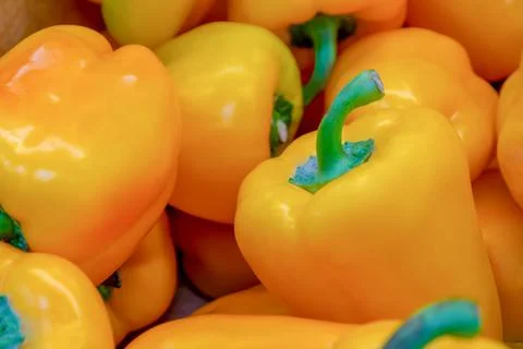 Bell pepper Stock Photos