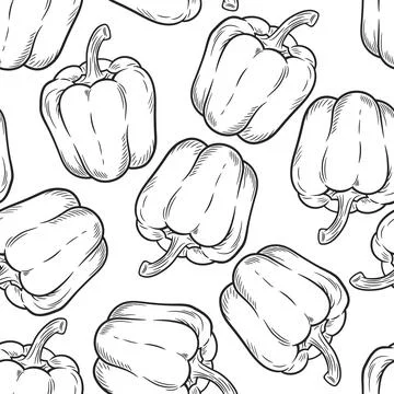 Bell Pepper Seamless Pattern, Vector Illustration. Black and White Hand Drawn Stock Illustration
