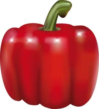 Bell pepper. Vector illustration. Stock-Illustration