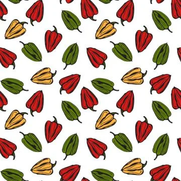 Bell pepper vector seamless pattern. Colorful pepper on white background Stock-Illustration