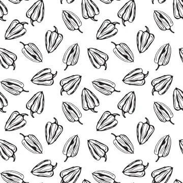 Bell pepper vector seamless pattern. White background with bell pepper. Stock-Illustration