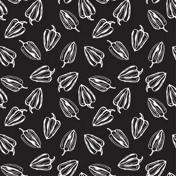 Bell pepper vector seamless pattern. Black background with white contour pepper Stock Illustration