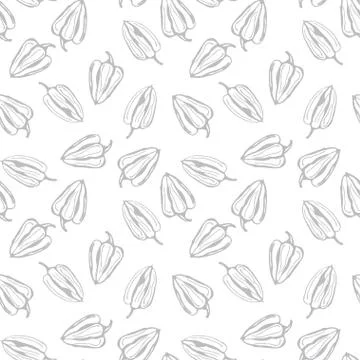 Bell pepper vector seamless pattern. Grey contour pepper on white background Stock Illustration
