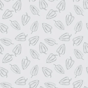 Bell pepper vector seamless pattern. Grey contour pepper on grey background 스톡 일러스트