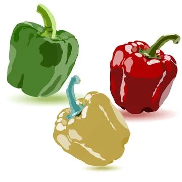 Bell pepper vector set, red, green and yellow sweet peppers with drop shadows Ilustración de archivo