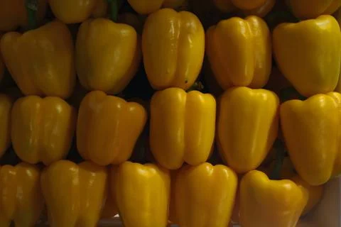 Bell peppers group. Stock Photos
