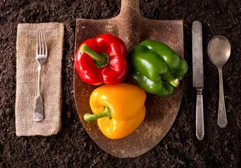 Bell peppers Foto stock