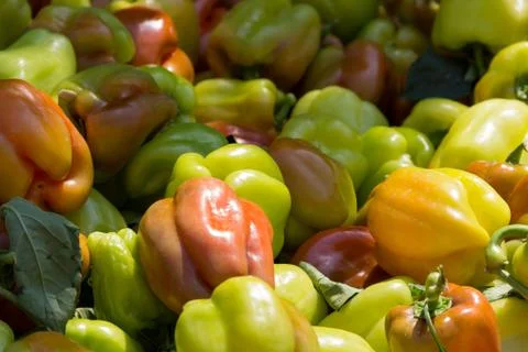Bell peppers Stock Photos