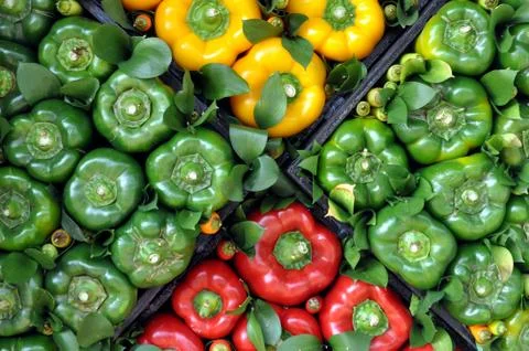 Bell peppers Stock Photos