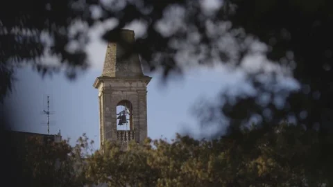 Bell tower between trees Stock Footage 71839299