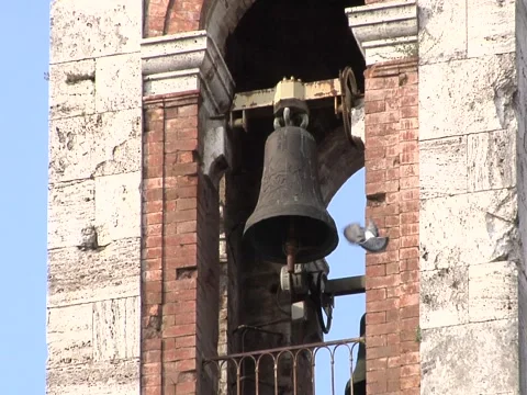 Bell tower with a bird Video stock 41629477