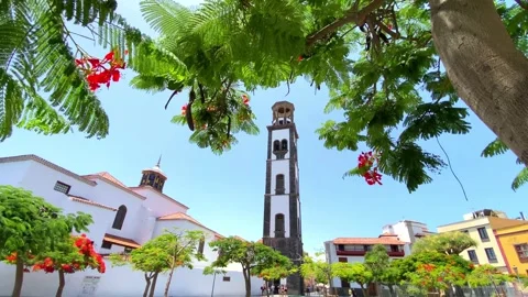 The bell tower of the Church of the Immaculate Conception. Stock Footage 292683872