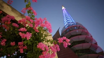 Bell Tower flowers Stock Footage 85913647