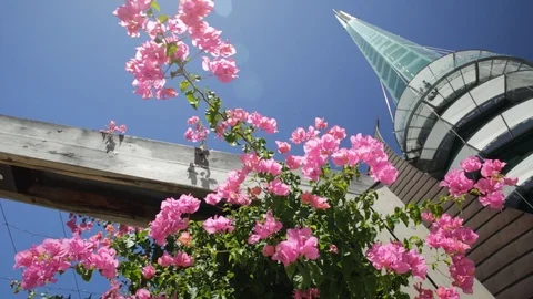 Bell Tower with flowers Stock Footage 100829420