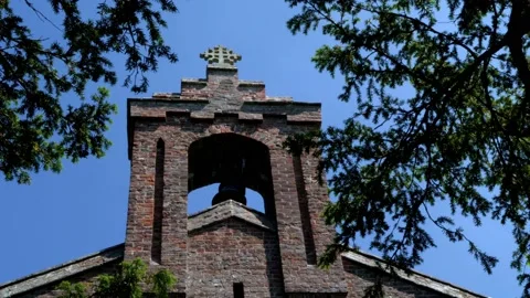 Bell Tower framed by trees, Colour Vídeos de archivo 155486410