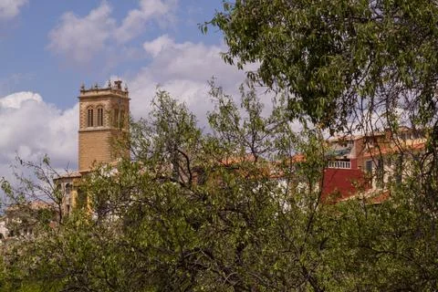 A Bell Tower Framed by Trees Stock Photos