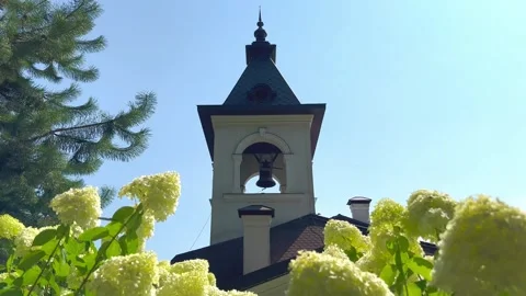Bell tower in the middle of the forest Stock Footage 248034386