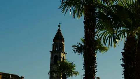 Bell Tower with Palm Tree and Clear Sky with Sunlight in Ascona Video stock 163904389