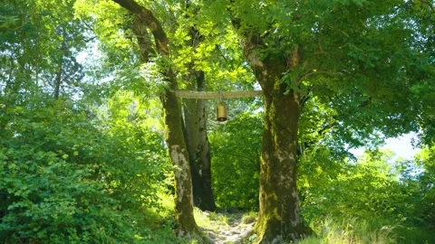 Bell on the tree with path leading to the church Stock Footage 314633014