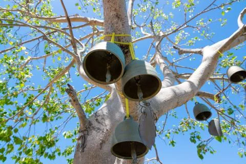 Bell on the tree Stock Photos